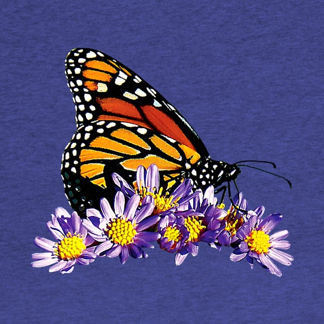 Monarch Butterfly on Purple Asters by SusanSavad